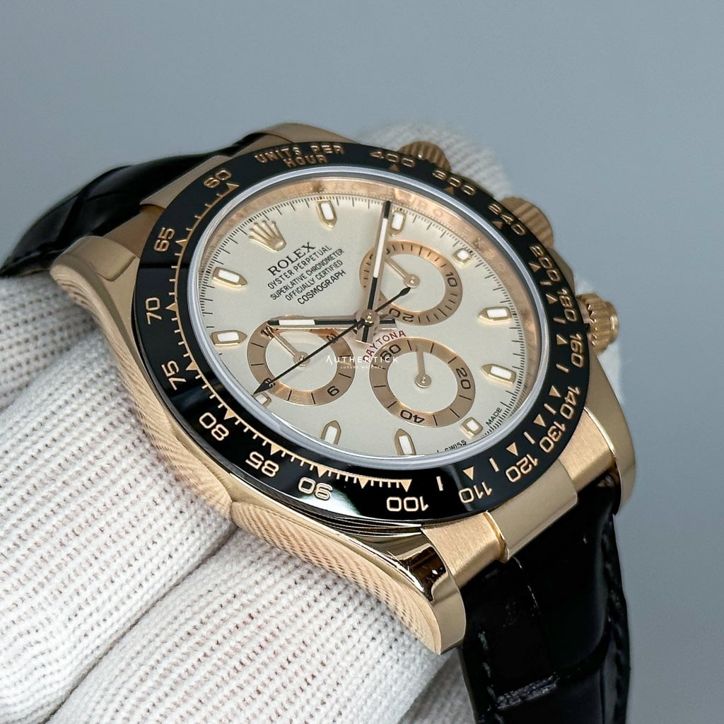 Rolex Cosmograph Daytona Everose Leather (Discontinued) Ivory Dial 116515LN
